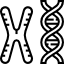 Numerical abnormalities (aneuploidies)