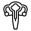 2. Endometrial preparation