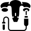 6. Embryo transfer