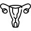 4. Endometrial preparation of the couple who will receive the embryos